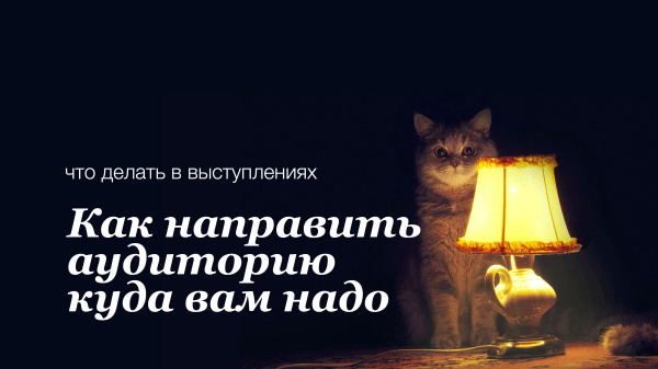 
                    Как выступать не впустую: захватываем и приземляем аудиторию            