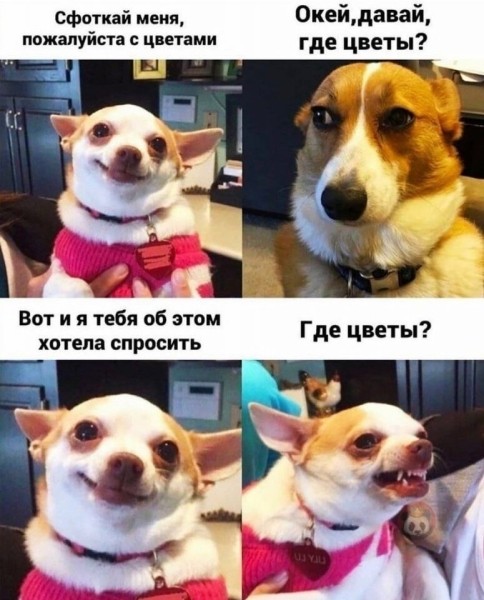 Кейс по таргету: как получить 2000 заявок по 1,4$ цветочному магазину в инстаграм
Кейс по таргету: как получить 2000 заявок по 1,4$ цветочному магазину в инстаграм