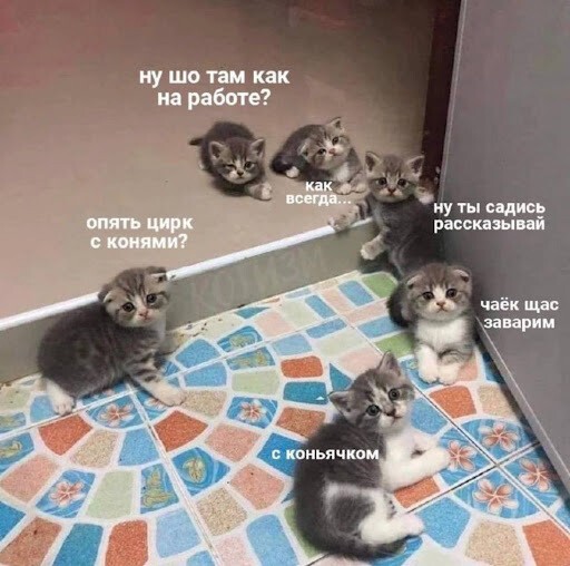 
                    Удивительные истории из жизни digital-агентств            