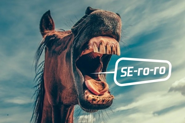 
                    Хватит сливать бюджеты: как понять, что SEO-подрядчик не вывозит?            