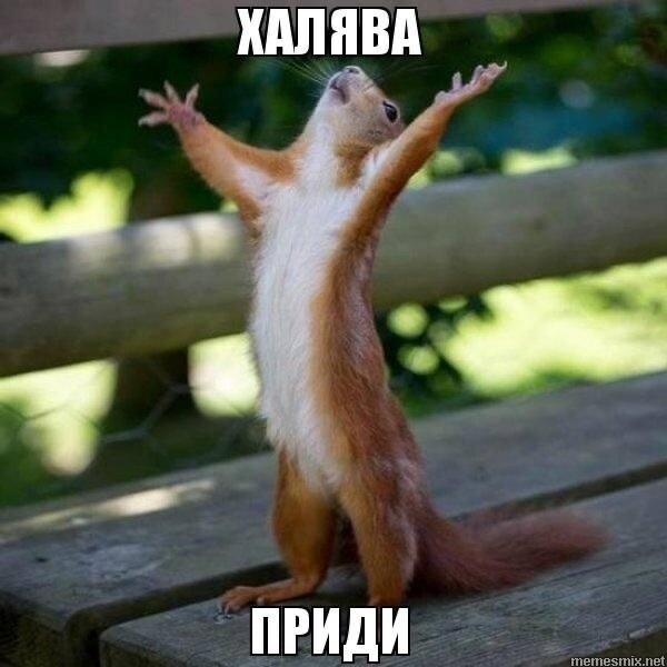 Как с помощью таргетированной рекламы продать всю новую коллекцию в шоурумах?
Как с помощью таргетированной рекламы продать всю новую коллекцию в шоурумах?