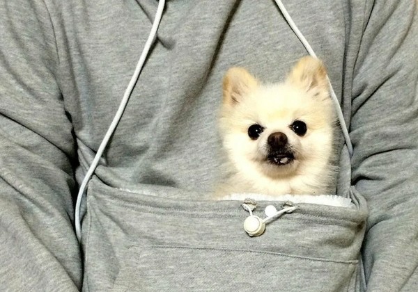 Вещи на грани безумия: рассказываем про самый необычный и дикий мерч
Вещи на грани безумия: рассказываем про самый необычный и дикий мерч