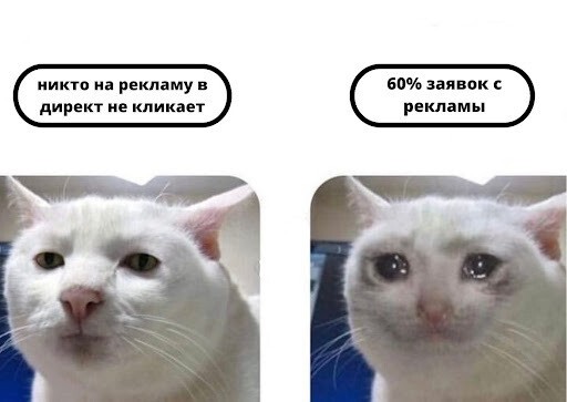 
                    Удивительные истории из жизни digital-агентств            