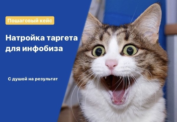 Кейс: запуск фитнес курса с выручкой $17 000 за месяц на холодную аудиторию с помощью таргета             
                    Кейс: запуск фитнес курса с выручкой $17 000 за месяц на холодную аудиторию с помощью таргета