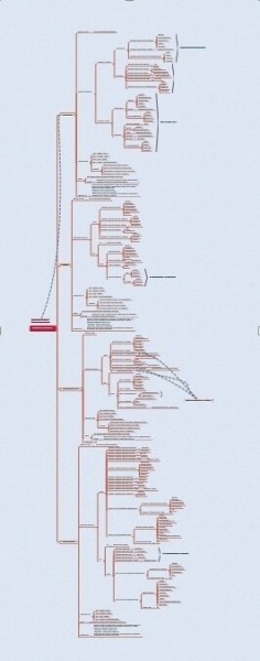 Кейс по стоматологии. Как вырасти пятикратно с 1.500.000 руб до 8.500.000 руб
Кейс по стоматологии. Как вырасти пятикратно с 1.500.000 руб до 8.500.000 руб