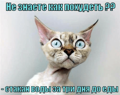 Кейс: запуск фитнес курса с выручкой $17 000 за месяц на холодную аудиторию с помощью таргета             
                    Кейс: запуск фитнес курса с выручкой $17 000 за месяц на холодную аудиторию с помощью таргета