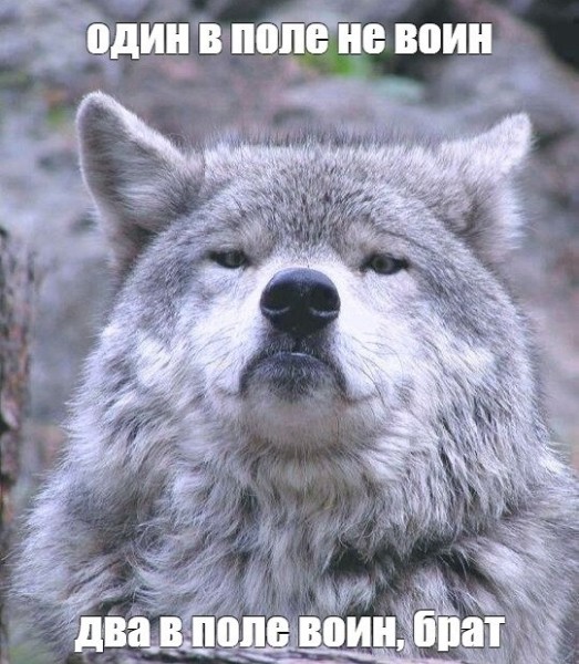 Бесплатный сыр только в мышеловке: нет бюджетов — нет пиара
Бесплатный сыр только в мышеловке: нет бюджетов — нет пиара