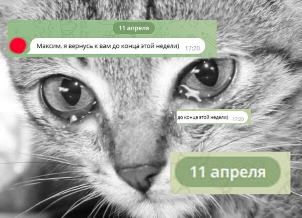 
                    "МАРКЕТОЛОГИ - ВОЗДУХАНЫ" - история, заставившая рыдать миллионы. РАСПРОСТРАНИТЕ!            