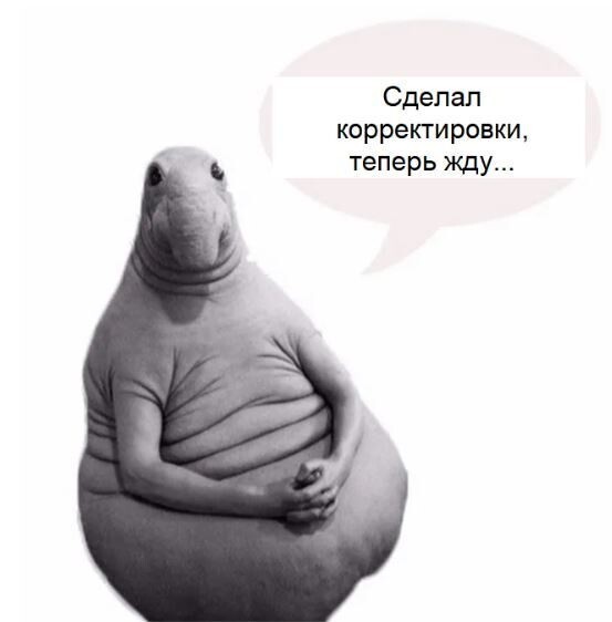 
                    Вставай, Наташа, Яндекс все уронил! Или что делать, если Директ перестал приносить заявки?            