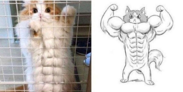 Нейросети убили во мне копирайтера: проверяем сервисы по работе с текстами на профпригодность
Нейросети убили во мне копирайтера: проверяем сервисы по работе с текстами на профпригодность