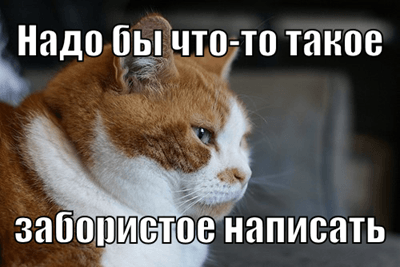 Нейросети убили во мне копирайтера: проверяем сервисы по работе с текстами на профпригодность
Нейросети убили во мне копирайтера: проверяем сервисы по работе с текстами на профпригодность