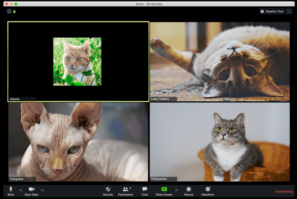 
                    Zoom-этикет: как правильно отлынивать от дейли            