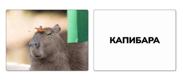 Картинки в креативе собирают охваты, а ты нет
Картинки в креативе собирают охваты, а ты нет