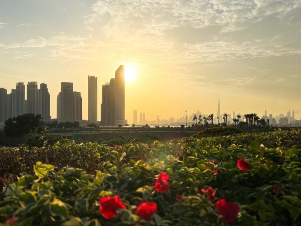 Два года в Дубае или "Иншалла маркетинг"             
                    Два года в Дубае или "Иншалла маркетинг"