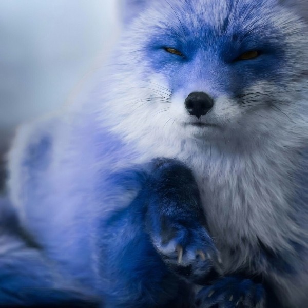 За 4 месяца раскачали рекламу школы психологии и принесли ей доход в 522 957 рублей
За 4 месяца раскачали рекламу школы психологии и принесли ей доход в 522 957 рублей