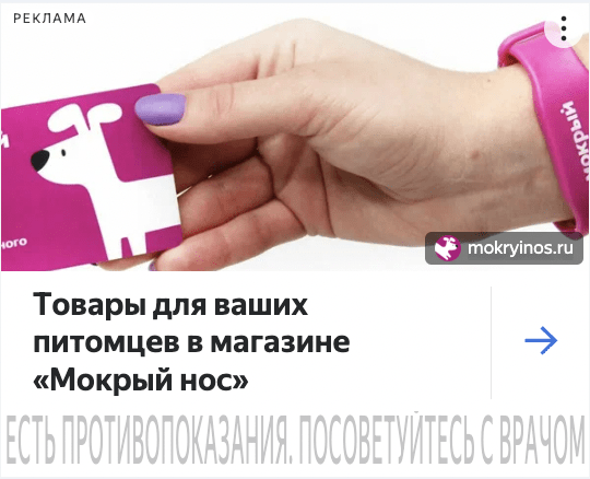 
                    Как сеть зоомагазинов «Мокрый нос» развивала онлайн-продажи: прошла пандемию и 2022-й. Кейс длиной в 6 лет            