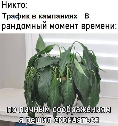 11 вредных советов, чтобы слить рекламный бюджет и не получить результатов
11 вредных советов, чтобы слить рекламный бюджет и не получить результатов