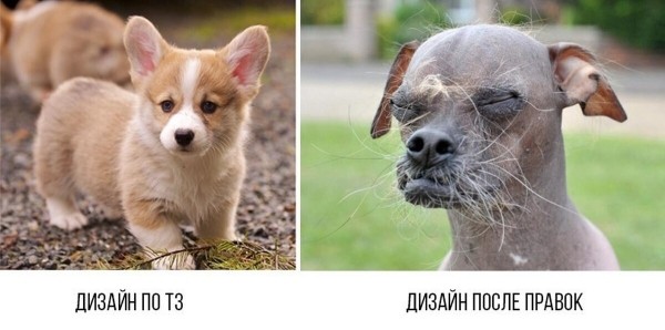 
                    Внятное ТЗ: 10 советов как не надо делать            