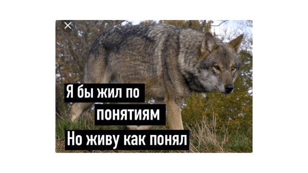 Как выжить в мире СМИ и опубликовать статью: инструкция для компаний
Как выжить в мире СМИ и опубликовать статью: инструкция для компаний