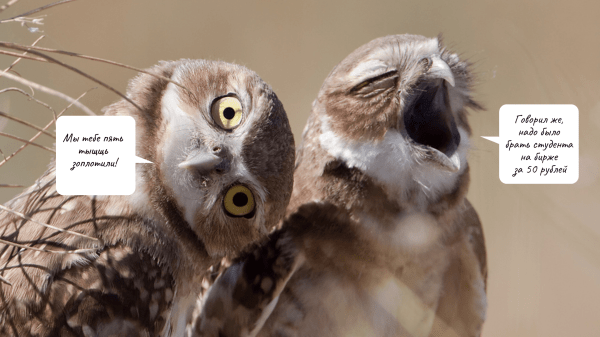 Как настроить оптимальную модель работы с заказчиками текстов: пять правил для комфортной коммуникации
Как настроить оптимальную модель работы с заказчиками текстов: пять правил для комфортной коммуникации