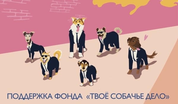 Твое собачье дело: рассказать об ответственном отношении к животным так, чтобы услышали             
                    Твое собачье дело: рассказать об ответственном отношении к животным так, чтобы услышали