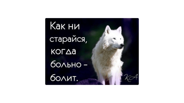 Как выжить в мире СМИ и опубликовать статью: инструкция для компаний
Как выжить в мире СМИ и опубликовать статью: инструкция для компаний