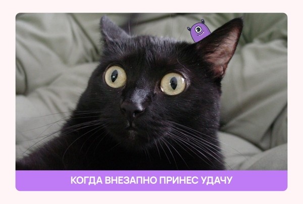 Как нейрокотики и грамотный маркетинг помогли школе таро заработать 26 000 000 рублей за 9 месяцев
Как нейрокотики и грамотный маркетинг помогли школе таро заработать 26 000 000 рублей за 9 месяцев