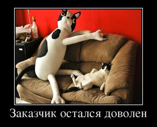 
                    Внятное ТЗ: 10 советов как не надо делать            