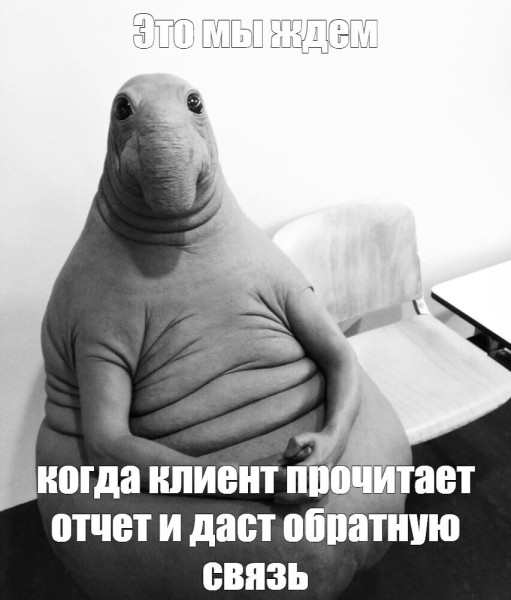 Почему мы пишем отчеты каждую неделю?             
                    Почему мы пишем отчеты каждую неделю?