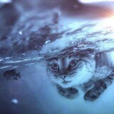 Как настроить оптимальную модель работы с заказчиками текстов: пять правил для комфортной коммуникации
Как настроить оптимальную модель работы с заказчиками текстов: пять правил для комфортной коммуникации