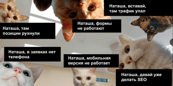 Вставай, Наташа, переезжаем. Или что делать, чтобы не потерять всё при переезде сайта на новую CMS
Вставай, Наташа, переезжаем. Или что делать, чтобы не потерять всё при переезде сайта на новую CMS