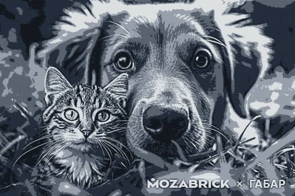 Как мы установили рекорд России, собрав самый большой конструктор из 221 тысячи кубиков
Как мы установили рекорд России, собрав самый большой конструктор из 221 тысячи кубиков