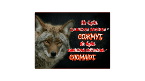 Как выжить в мире СМИ и опубликовать статью: инструкция для компаний
Как выжить в мире СМИ и опубликовать статью: инструкция для компаний