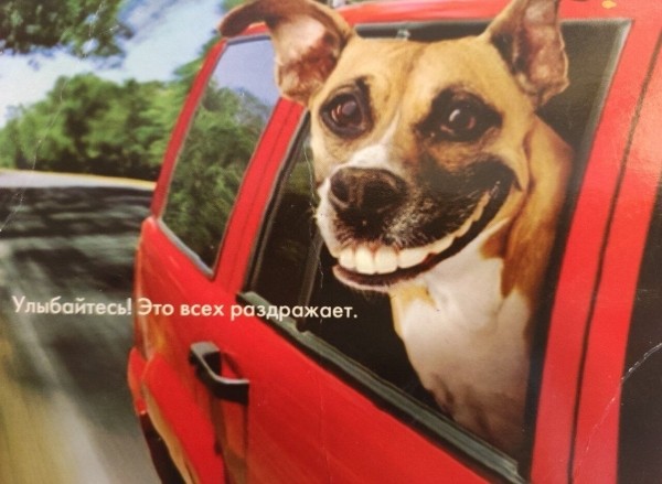 
                    Мем зашёл: какие мемы любят и цитируют            