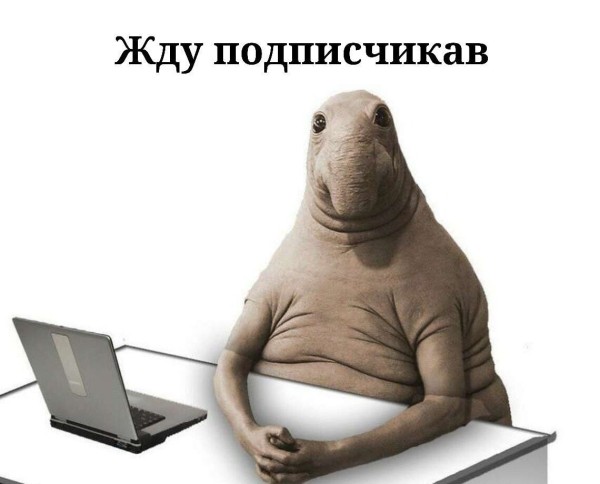 Как прогреть аудиторию в телеграм, чтобы точно купили + бонус 35 идей для эффективного прогрева
Как прогреть аудиторию в телеграм, чтобы точно купили + бонус 35 идей для эффективного прогрева