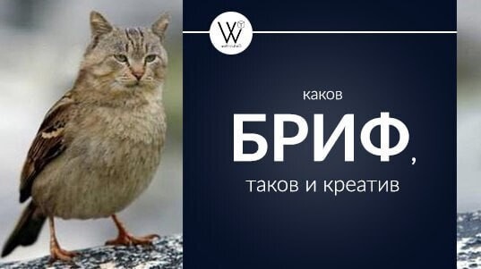 
                    Внятное ТЗ: 10 советов как не надо делать            