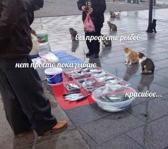 
                    Мем зашёл: какие мемы любят и цитируют            