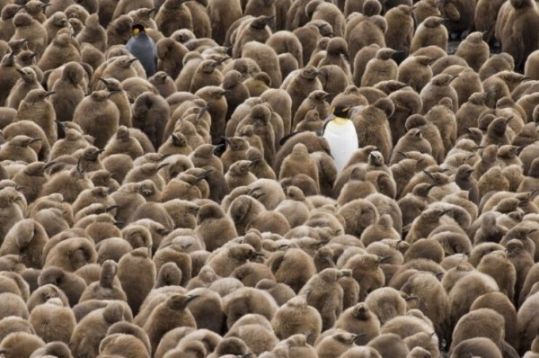 Как наш мозг принимает решения: когнитивные ошибки, исследования и большой маркетинговый факап + бонус в конце
Как наш мозг принимает решения: когнитивные ошибки, исследования и большой маркетинговый факап + бонус в конце