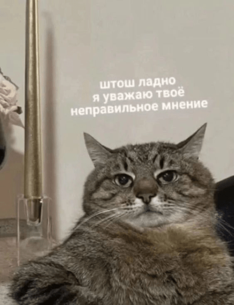 Как выбрать себе таргетолога, который сделает результат в 23-24 году и сколько он будет стоить?             
                    Как выбрать себе таргетолога, который сделает результат в 23-24 году и сколько он будет стоить?