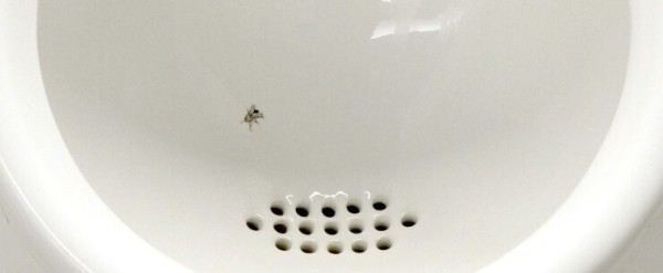 Как наш мозг принимает решения: когнитивные ошибки, исследования и большой маркетинговый факап + бонус в конце
Как наш мозг принимает решения: когнитивные ошибки, исследования и большой маркетинговый факап + бонус в конце