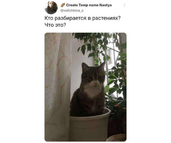 
                    Провальные стартапы техногигантов: как не повторить ошибки Google, Microsoft и Amazon            