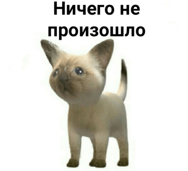 
                    5 причин, почему вам может не понадобиться SEO            