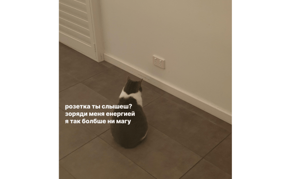 
                    Провальные стартапы техногигантов: как не повторить ошибки Google, Microsoft и Amazon            