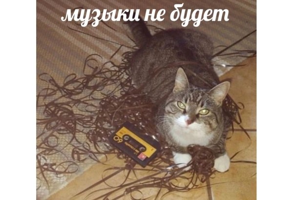 
                    Провальные стартапы техногигантов: как не повторить ошибки Google, Microsoft и Amazon            