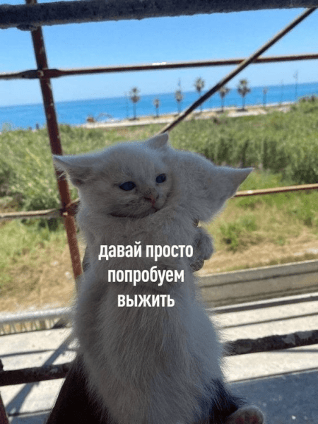 Как выбрать себе таргетолога, который сделает результат в 23-24 году и сколько он будет стоить?             
                    Как выбрать себе таргетолога, который сделает результат в 23-24 году и сколько он будет стоить?