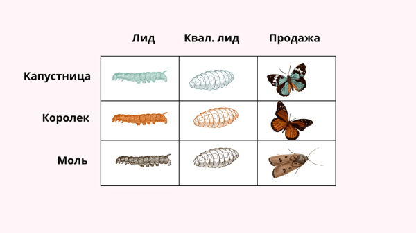Объясняю на гусеничках: как сделать сквозную аналитику понятной для предпринимателя и полезной для бизнеса
Объясняю на гусеничках: как сделать сквозную аналитику понятной для предпринимателя и полезной для бизнеса