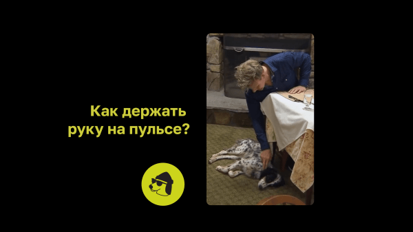 
                    Как я выстроил систему регулярного менеджмента в области обработки лидов в агентстве            