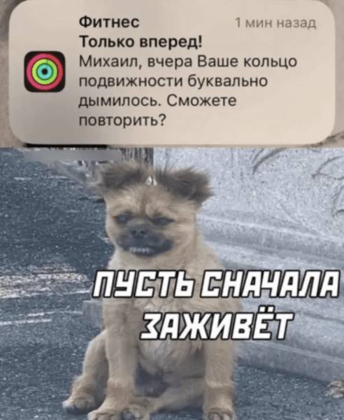 ✅14 push-уведомлений, которые полностью перевернули ожидания. Эпизод 2. Волнующая возможность
✅14 push-уведомлений, которые полностью перевернули ожидания. Эпизод 2. Волнующая возможность