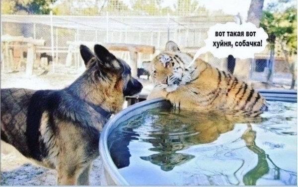 
                    Как привлекать фанов на OnlyFans и Fancy с помощью таргетированной рекламы в InstagramFacebook. Кейс - инструкция            