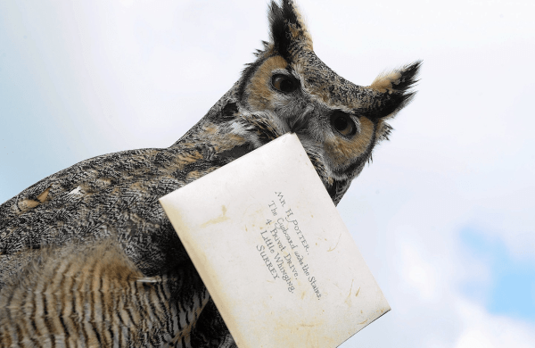 Взаимное притяжение: как за 6 шагов выстроить успешную коммуникацию с клиентом             
                    Взаимное притяжение: как за 6 шагов выстроить успешную коммуникацию с клиентом